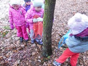 Výprava do lesa, krmení zvířátek